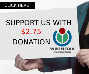 Support Wikipedia with $2.75 donation
