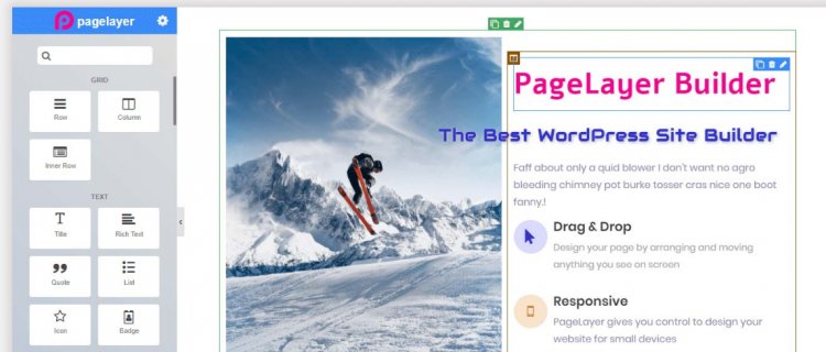 Pagelayer 1.4.7 Launched