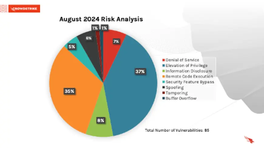 August 2024 Risk Analysis